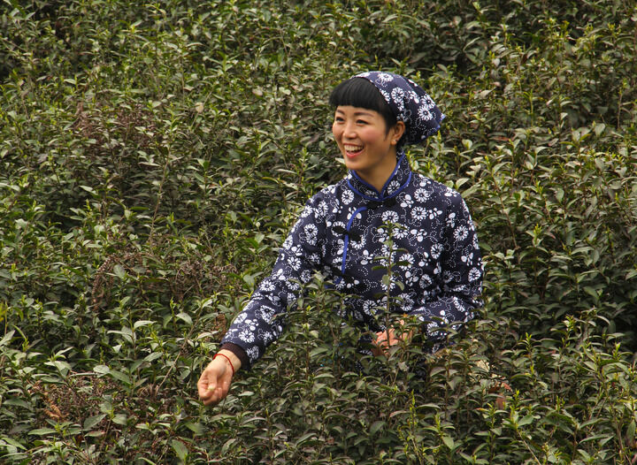 超模直播热门9